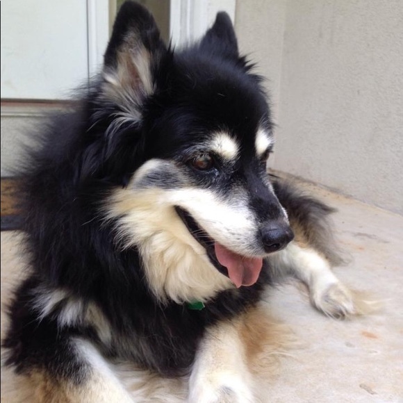 Meet your Posher, Tina - Picture 1 of 1